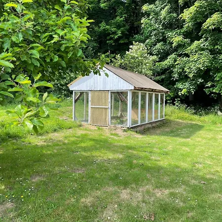 Waldhaus Wiesenblick Mit Spielzimmer Und Tischtennisraum 博尔兴